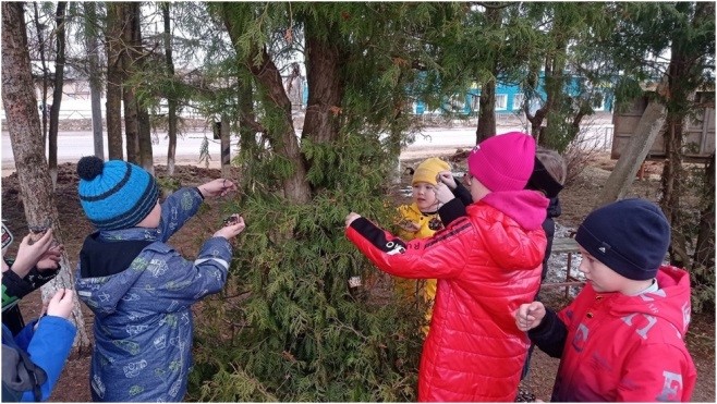 КЛАСС «КОЗИНАКИ ДЛЯ ПТИЦ».