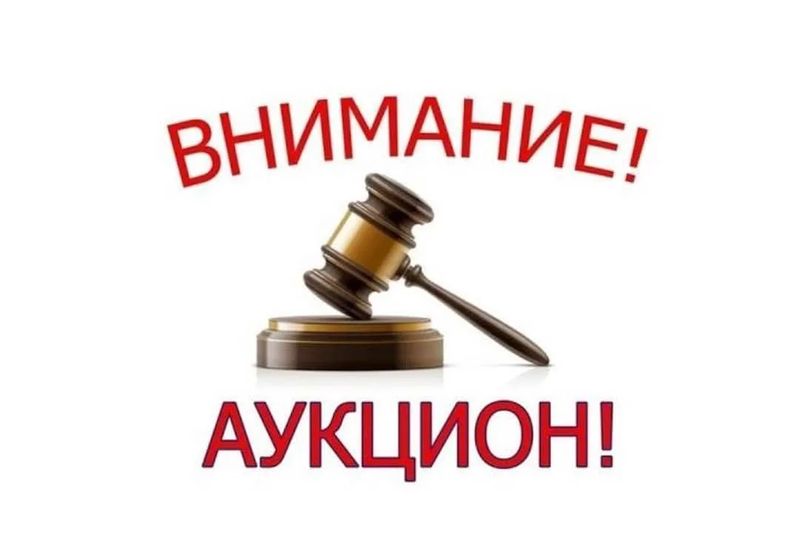 Информация  о проведении аукционов в электронном виде на право заключения договора аренды лесного участка, находящегося в государственной собственности.