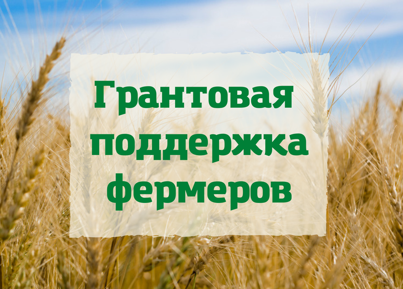 Информируем заинтересованных граждан, ведущих ЛПХ, ИП, К(Ф)Х и       иных сельхоз товаропроизводителей Богородского муниципального округа.