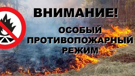 С 25 апреля 2025 года в Кировской области действует особый противопожарный режим, установленный постановлением Правительства региона.. С 25 апреля 2025 года в Кировской области действует особый противопожарный режим, установленный постановлением Правительства региона..